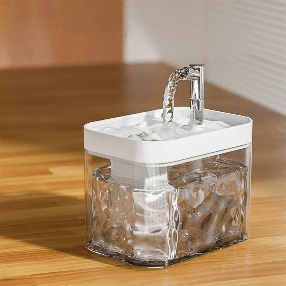 Fontaine à eau filtrée pour animaux – Image 11